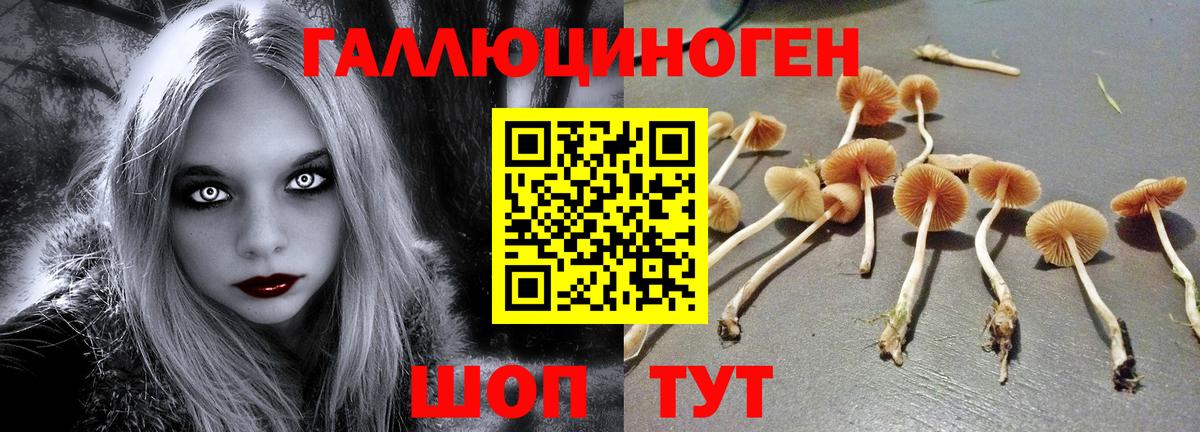 Псилоцибиновые грибы мухоморы Будённовск